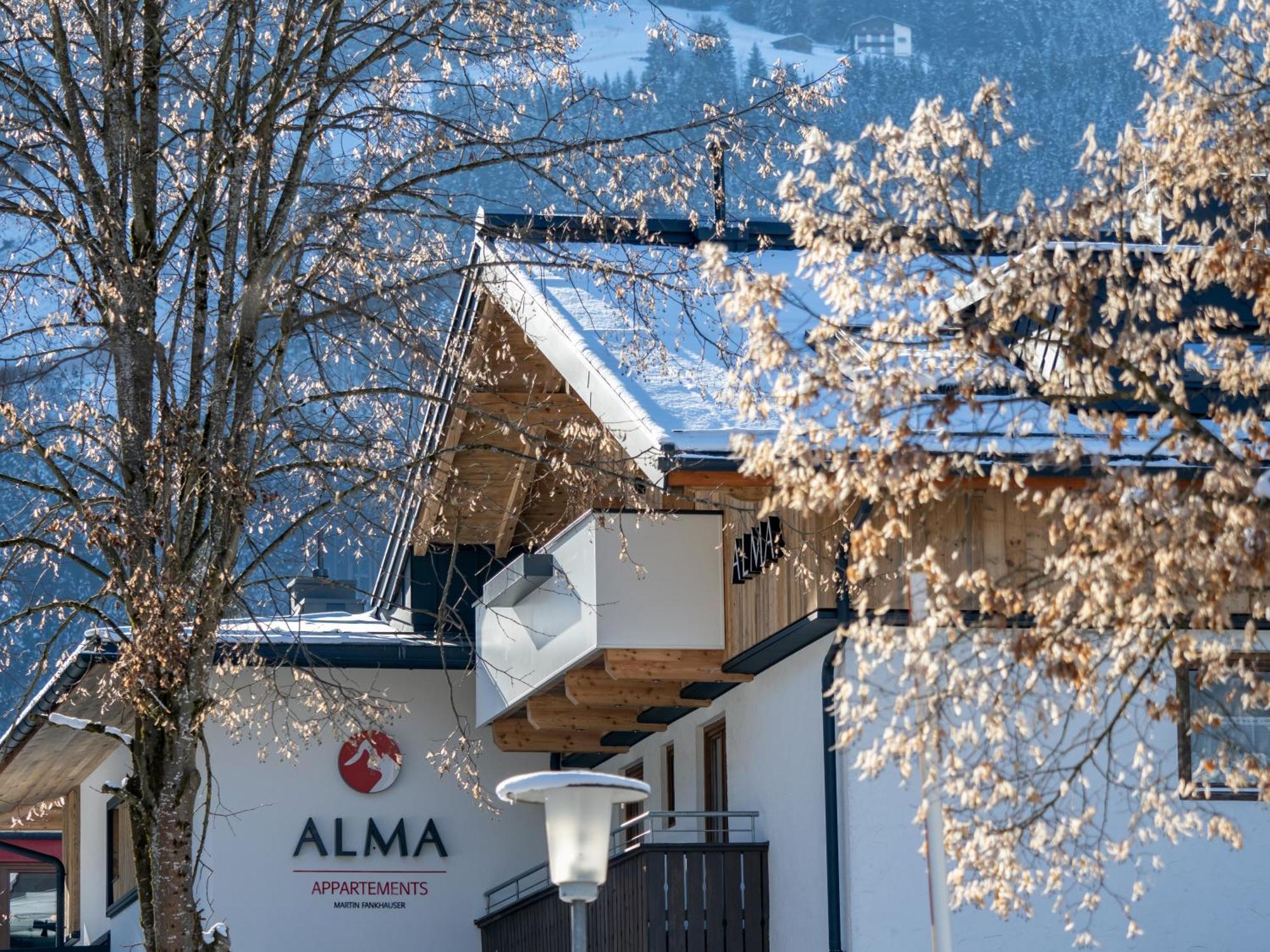Appartements Alma Mayrhofen Esterno foto